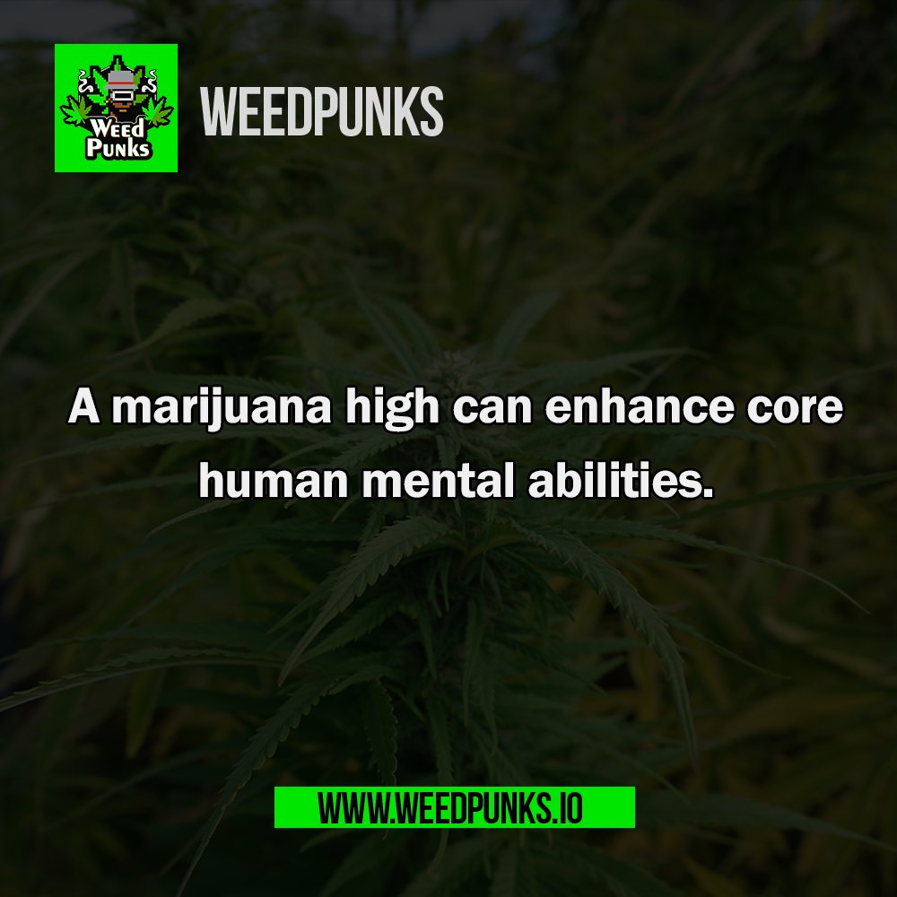 Weedpunks tweet media
