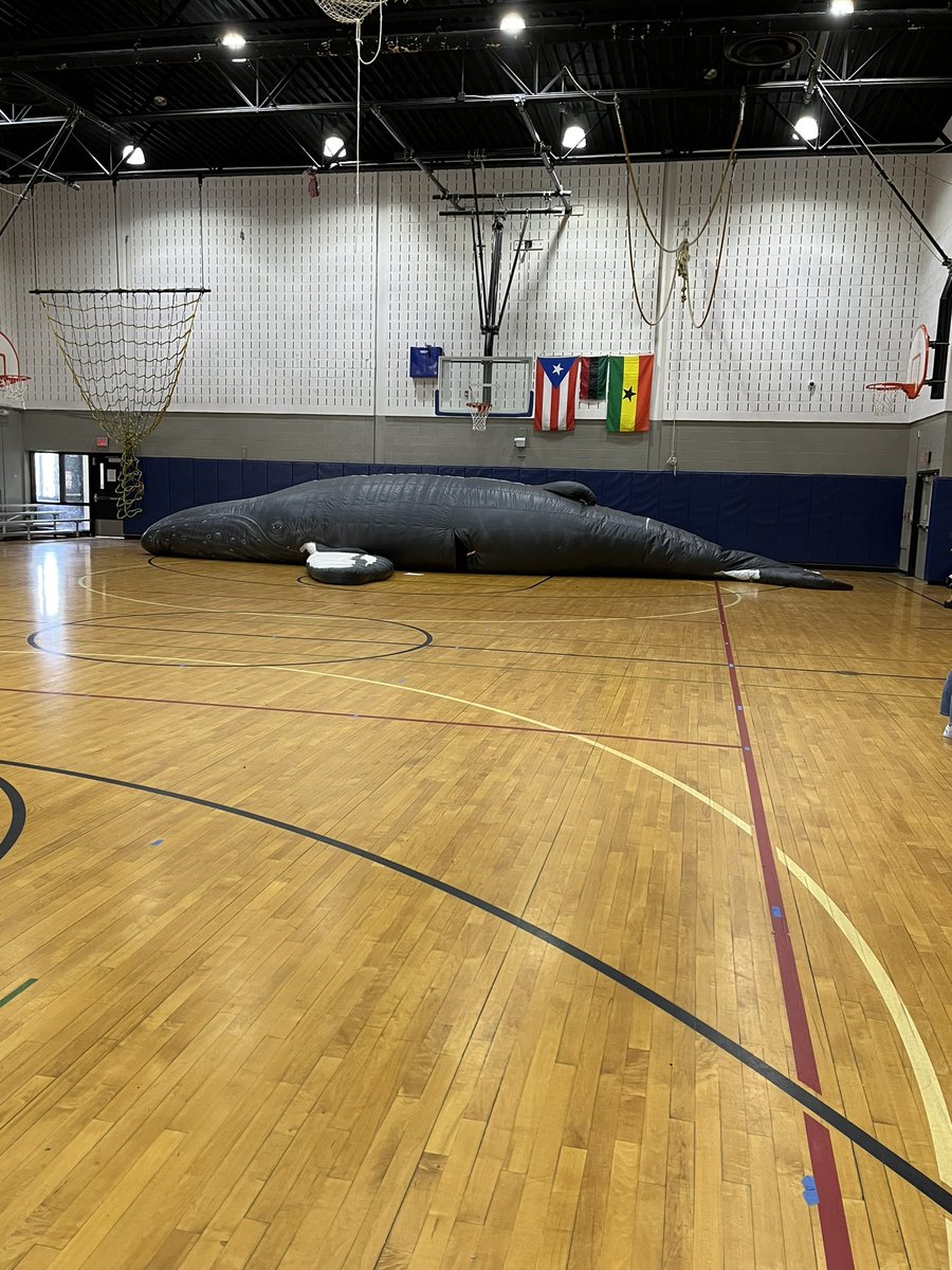 Victoria Stuewe M.Ed tweet media