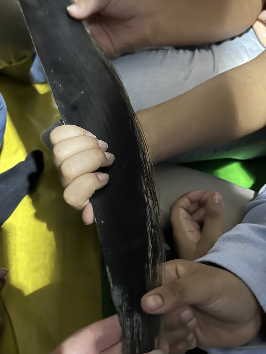 Victoria Stuewe M.Ed tweet media