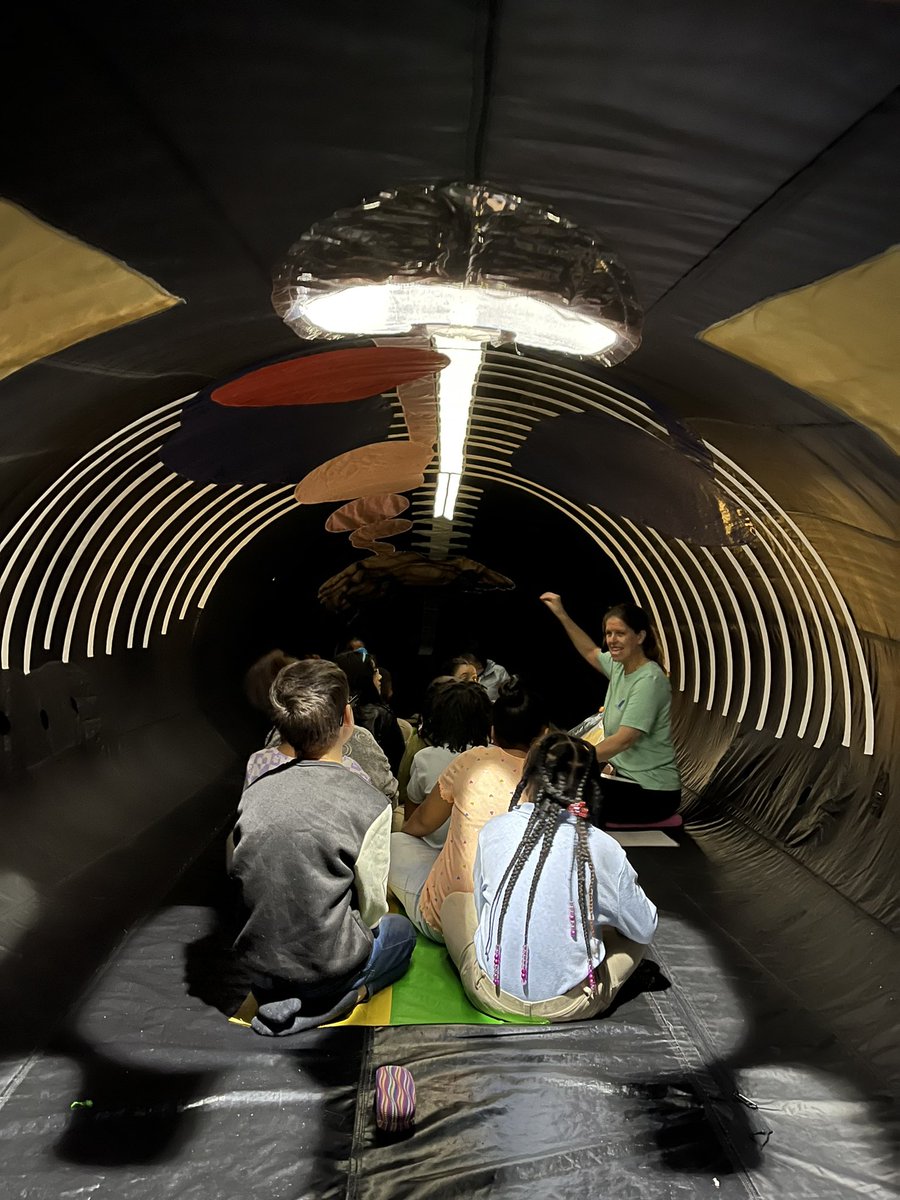 Victoria Stuewe M.Ed tweet media