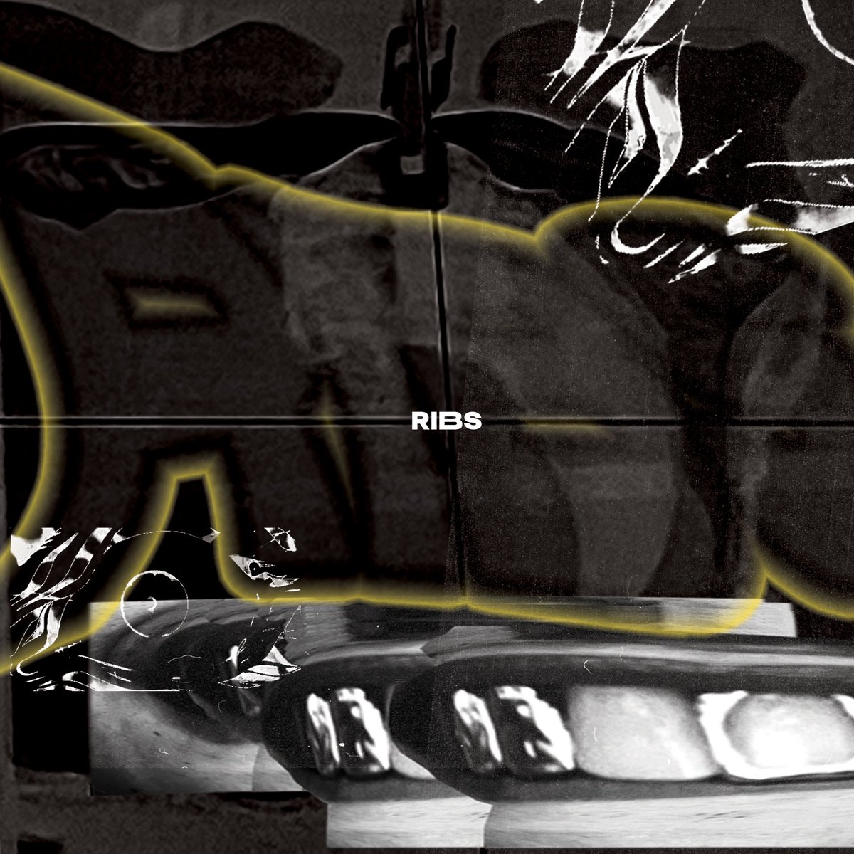 ALPHAFOX tweet media