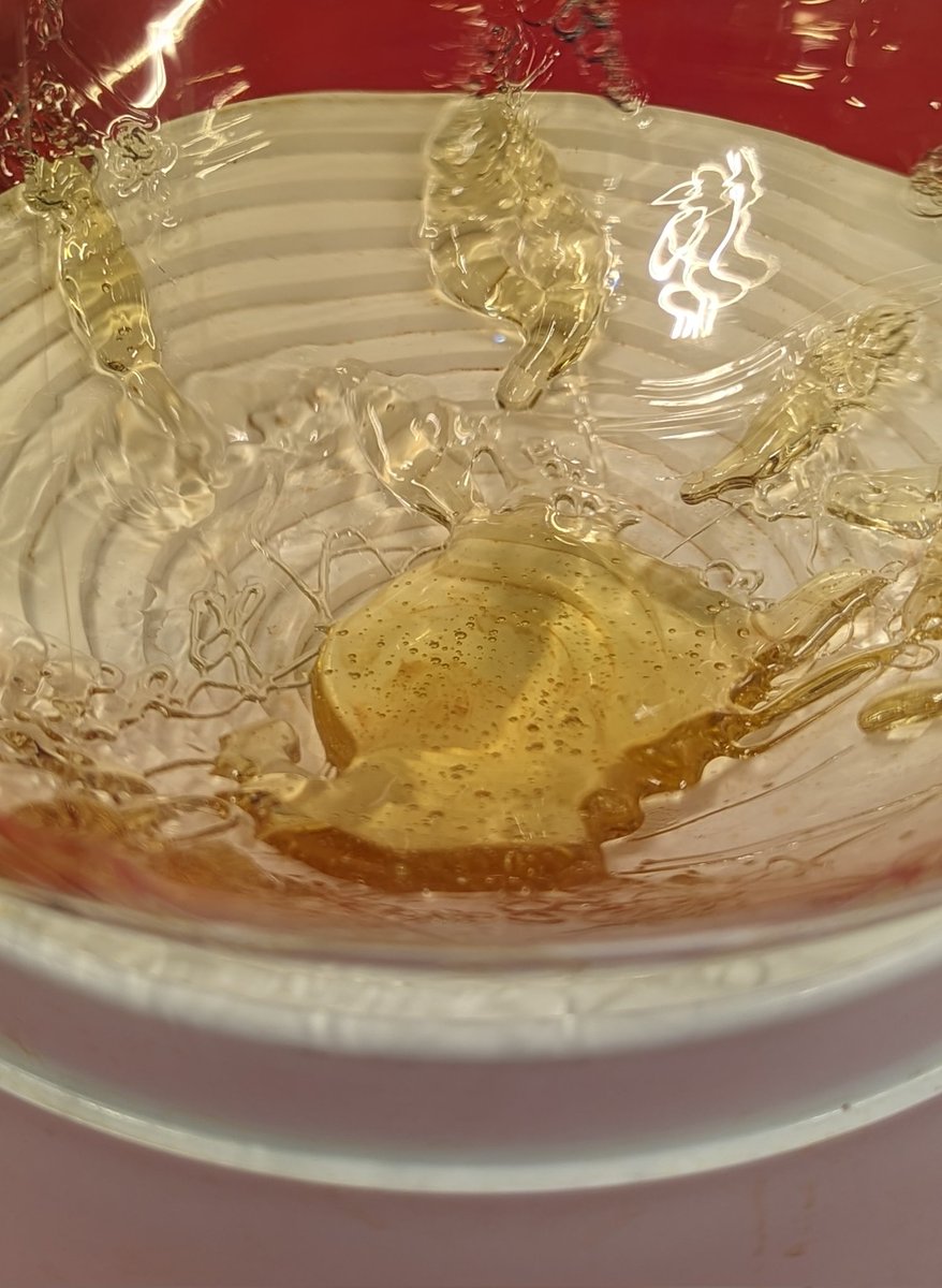 TempleGrower's tweet image. Prolly hitting 95-96% total cannabinoids. 88-90%THC. The real sticky icky. When cooled, just like glass...🤩🛢️
#Distillate #ShortPathDistillation