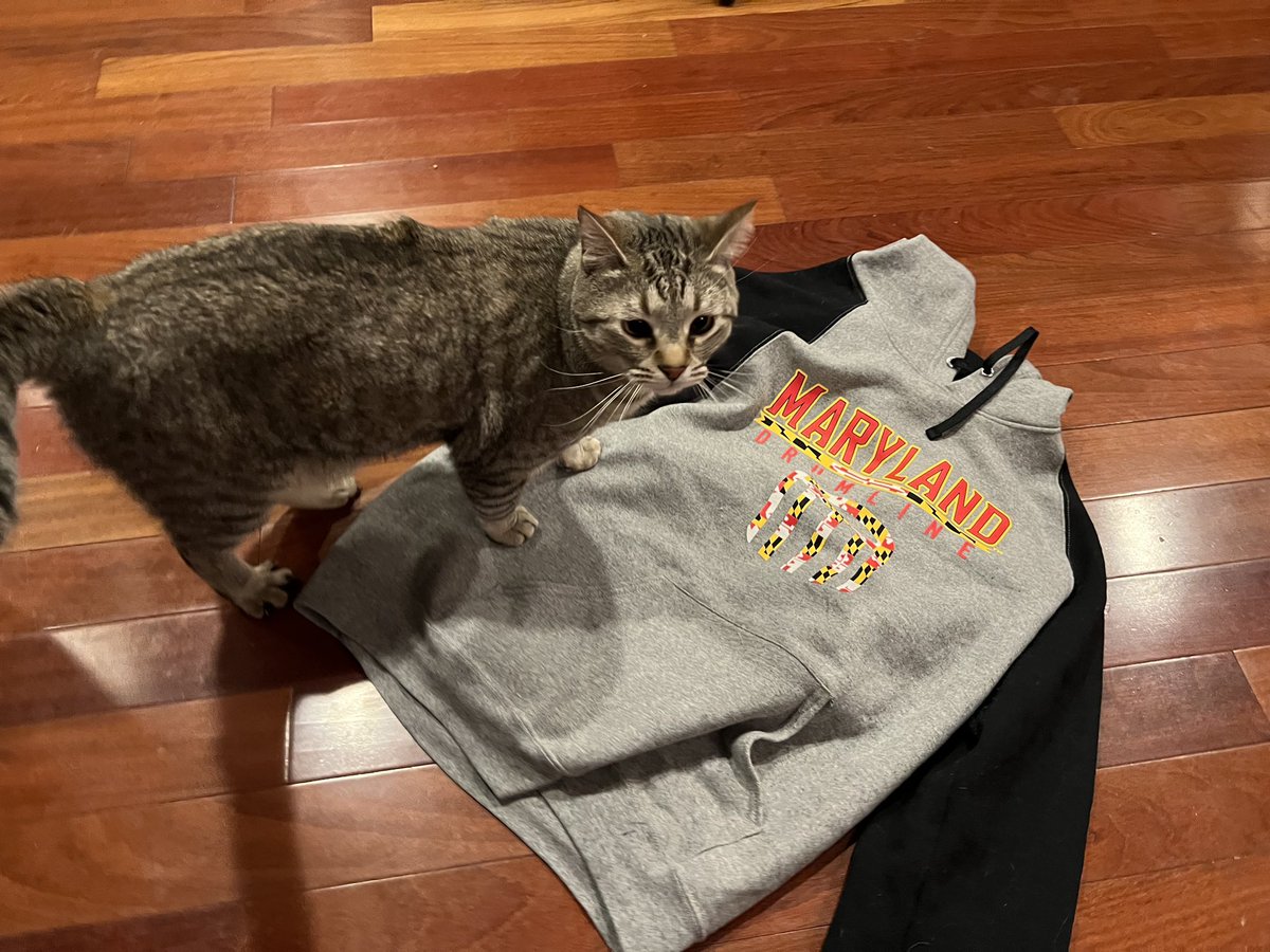 He thinks you should donate to the Mighty Sound of Maryland Instrument Fund for #GivingDayUMD