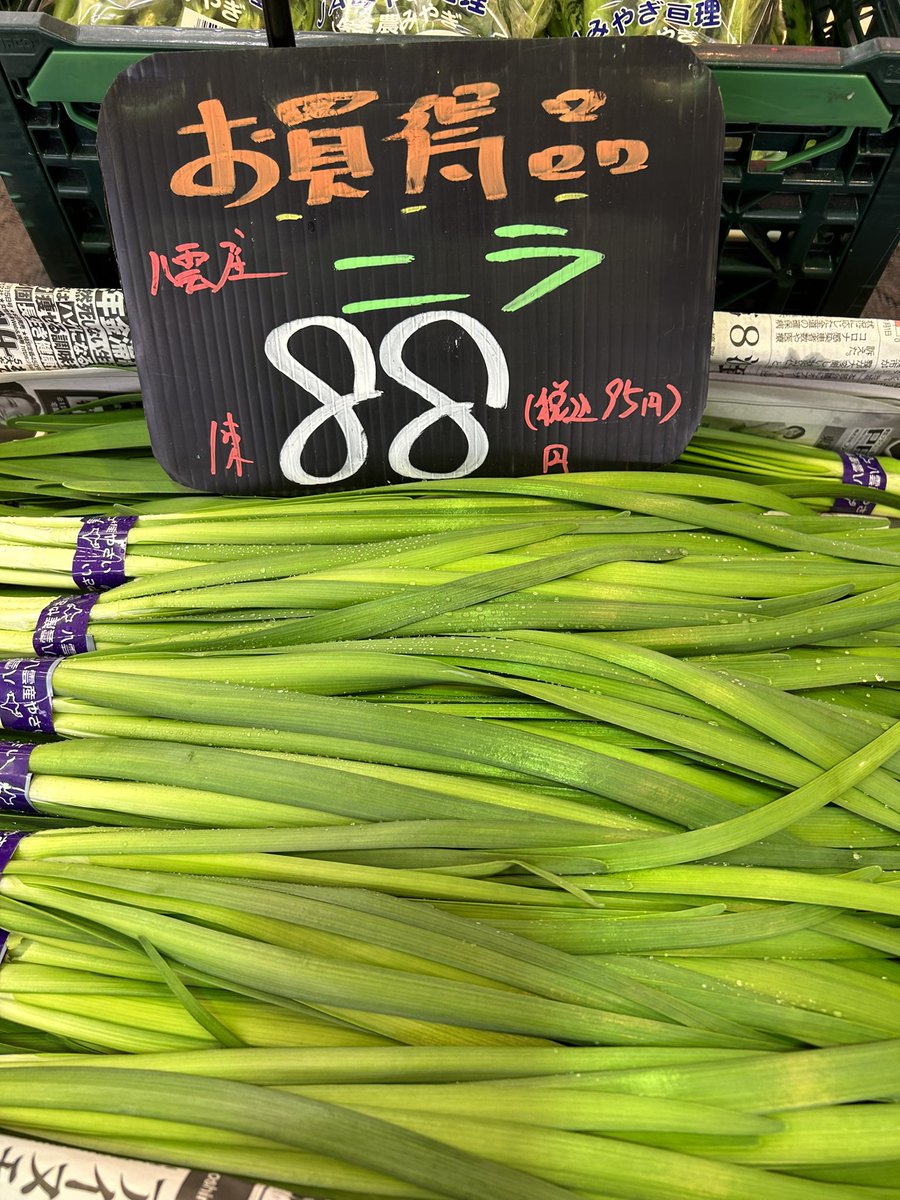 musashiya__6348's tweet photo. おはようございます☀
本日お買得商品です！！
・八雲ニラ1袋88円　
・雪の下大根1本98円
・三つ葉1袋138円   おひたしに！
・白かぶ1束138円
・なす1袋158円
・森産きゅうり約500g入1袋158円
　（出てるだけになります）
・ジョナゴールド1個68円
ご来店お待ちしてます！
宜しくお願いします😊⤴️⤴️ https://t.co/590ri6HZfp