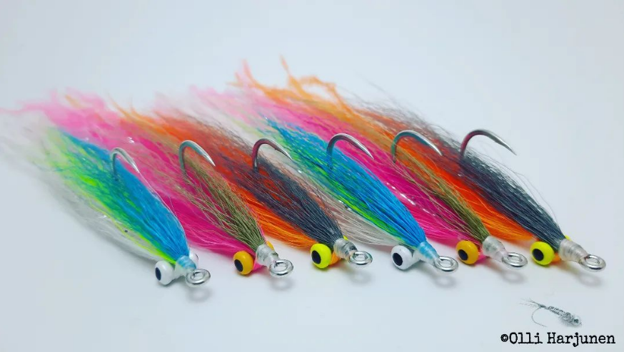 Saltwateronfly's tweet photo. Sweet Clousers
@olliharjunen
Half and half clouser with ostrich π₯΄ 4/0
.
.
#clouserminnow #deceiverfly #bucktailflies #halfandhalfclouser #flytyingpatterns #saltwaterfly #saltwaterflyfishing #predatorflyfishing #jigflies #perhonsidonta #gianttravelly #pikeflies #tarponfly https://t.co/dnFSJlFsTl