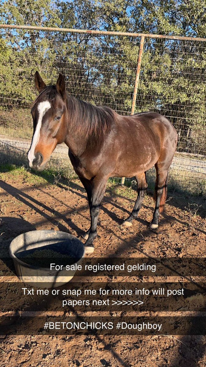 BJohnson254's tweet photo. For sale…….. will make deal on both bring trailer! https://t.co/NyqXKBvzj1