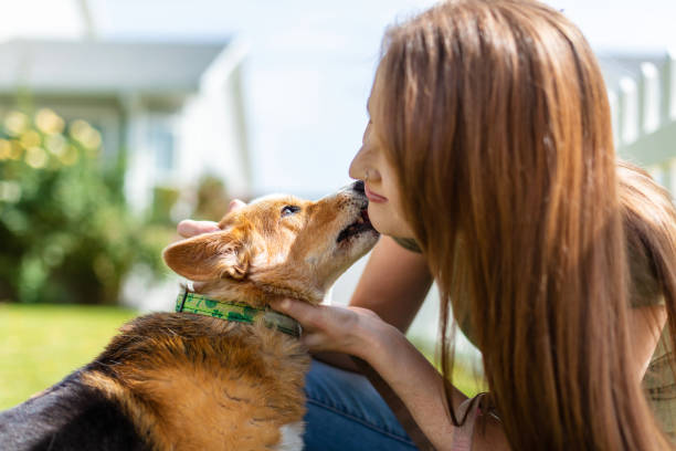 I just published Dogs Lick Each Other’s Ears: A Common and Normal Behavior Explained link.medium.com/Sy9V293W0xb 

#dogs #dogbehavior #dogtraining #pethealth
#doglovers #animalbehavior #petcare #dogtips
#animallovers #dogowners #caninebehavior #puppylove #doglicking #earcleaning