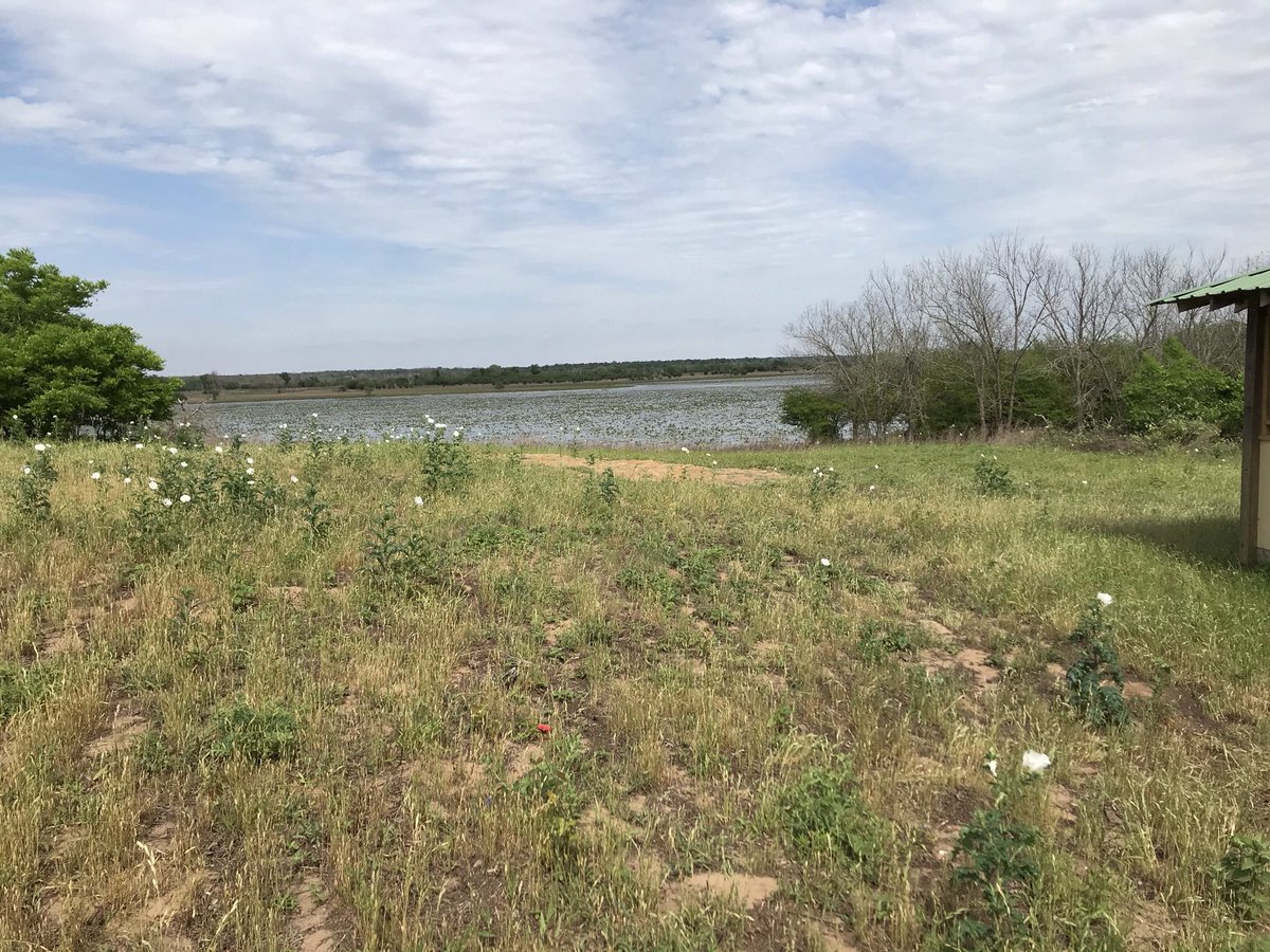 Very important legislation for our future @DadePhelan @RepWalle #guadaluperiver #lakesomerville #inkslake #mineralwells #txlege