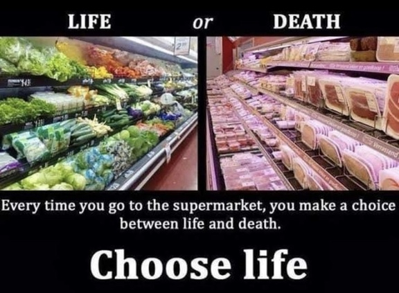 veganfuture's tweet photo. https://t.co/AjHnnsmnUx