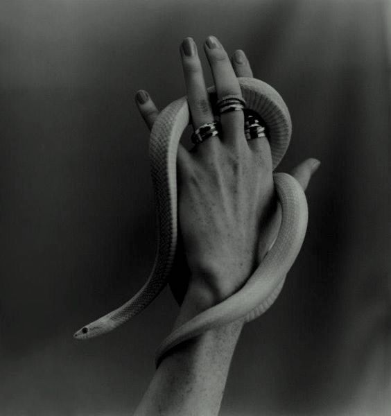 Archillect (@archillect) on Twitter photo 