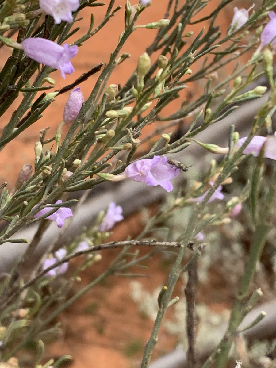 Curtin Media tweet media