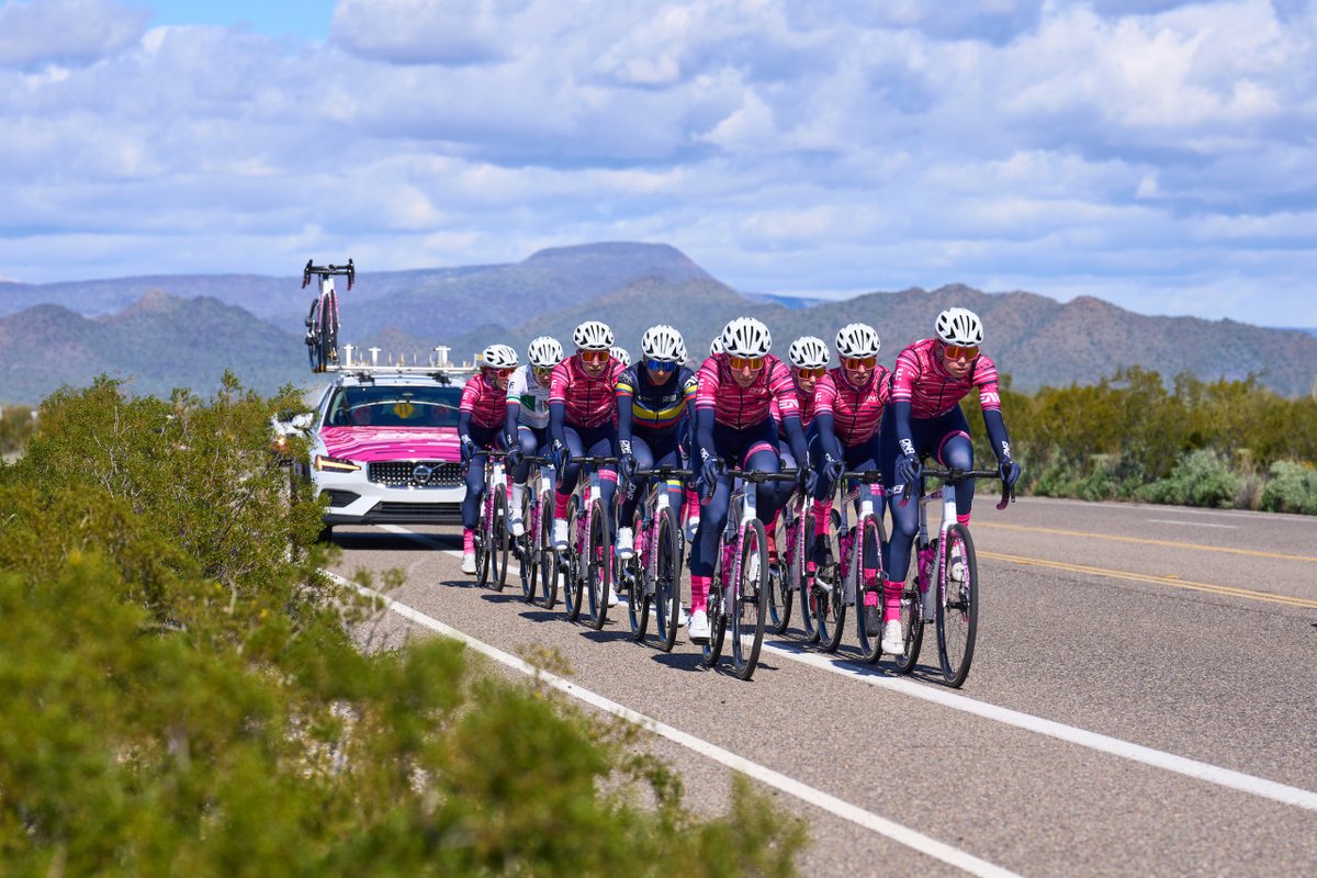 DNACYCLING tweet media