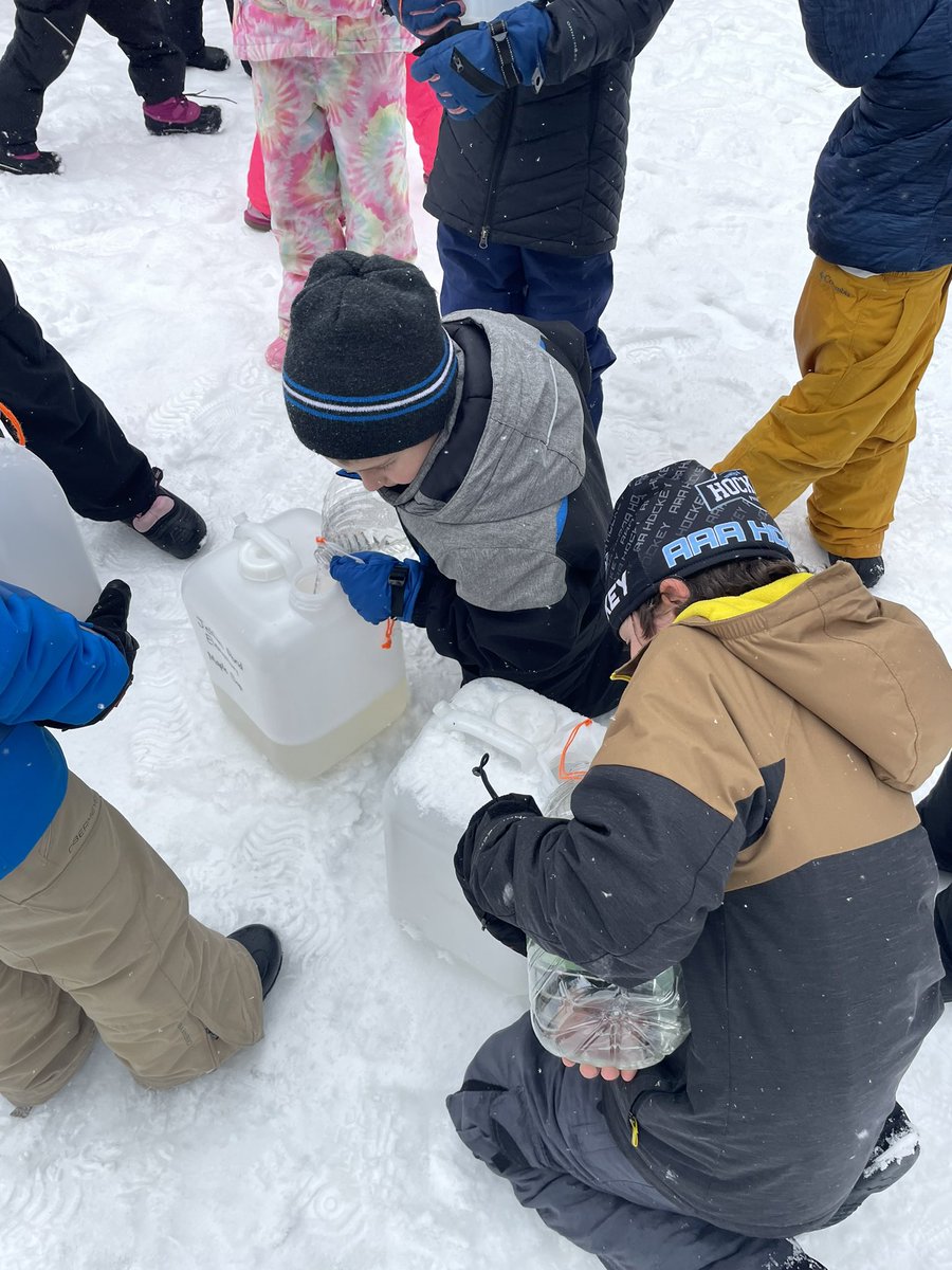 mschultzPLS's tweet photo. We collected sap with our 3rd grade buddies today! Look at it all! We are at a total of 12 1/2 gallons in 2 days! @JeffersPondPLS @isd719 https://t.co/RdWMqTKGn4