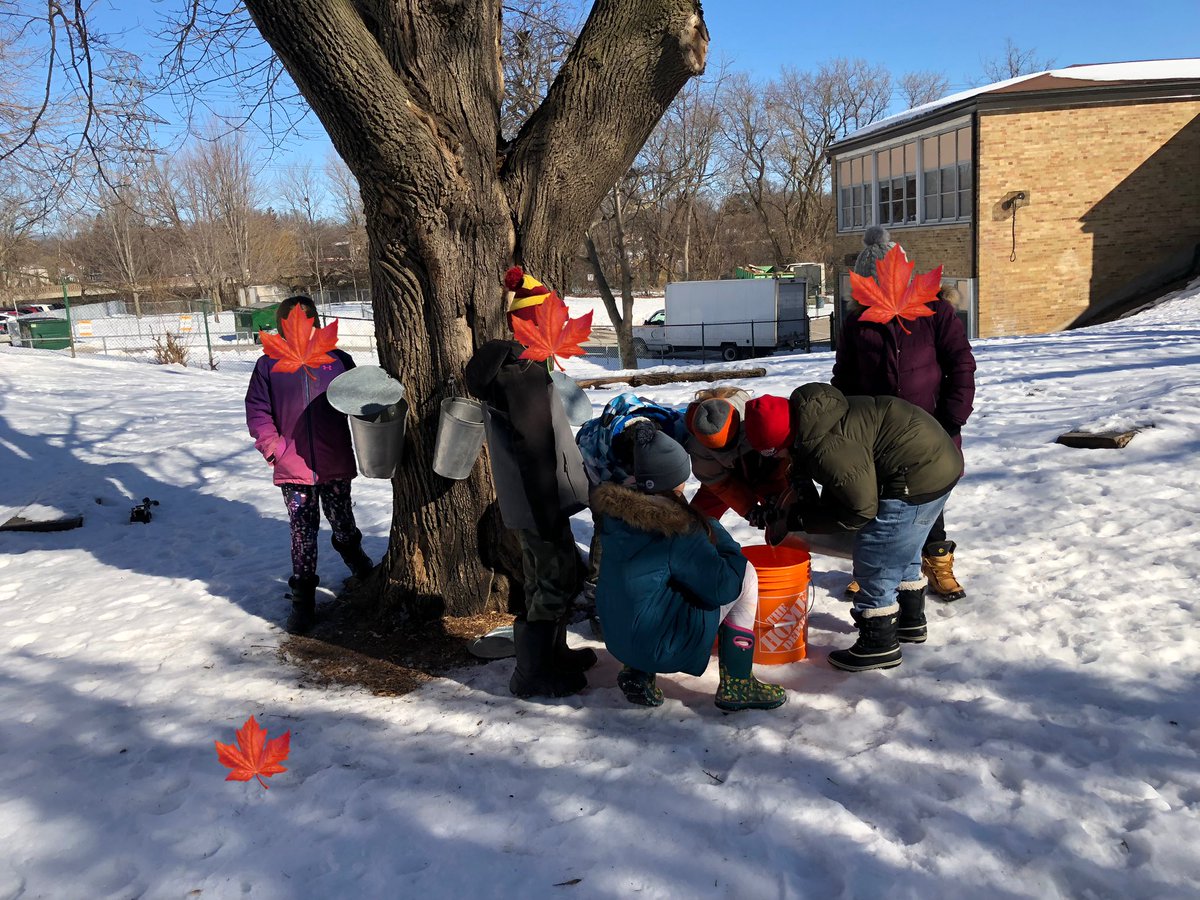 Parkside Elementary School (@tdsb_parksidees) on Twitter photo Yesterday’s full moon, aka the sugar moon, lets us know that maple trees are ready for tapping! The flowing sap at Parkside provides another opportunity to better understand our relationship with the land and environment. #parksideproud <a href="/npersaudLC4/">NadiraPersaud-FOS14/LC2</a> <a href="/EcoSchoolsTDSB/">TDSB EcoSchools</a> <a href="/UIEC_Tdsb/">UIEC_TDSB</a> Yesterday’s full moon, aka the sugar moon, lets us know that maple trees are ready for tapping! The flowing sap at Parkside provides another opportunity to better understand our relationship with the land and environment. #parksideproud <a href="/npersaudLC4/">NadiraPersaud-FOS14/LC2</a> <a href="/EcoSchoolsTDSB/">TDSB EcoSchools</a> <a href="/UIEC_Tdsb/">UIEC_TDSB</a>