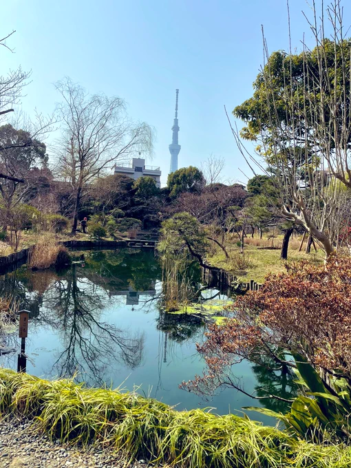 梅を見に隅田区・向島百花園へ。梅は終わりかけてたけどほのかに梅の香り漂ってた。初めて来たけどのどかで良い庭園だな。 