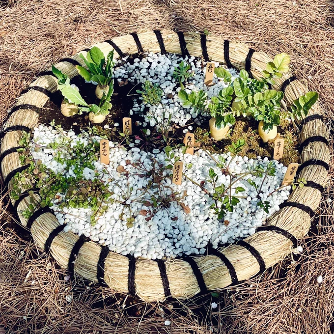 梅を見に隅田区・向島百花園へ。梅は終わりかけてたけどほのかに梅の香り漂ってた。初めて来たけどのどかで良い庭園だな。 
