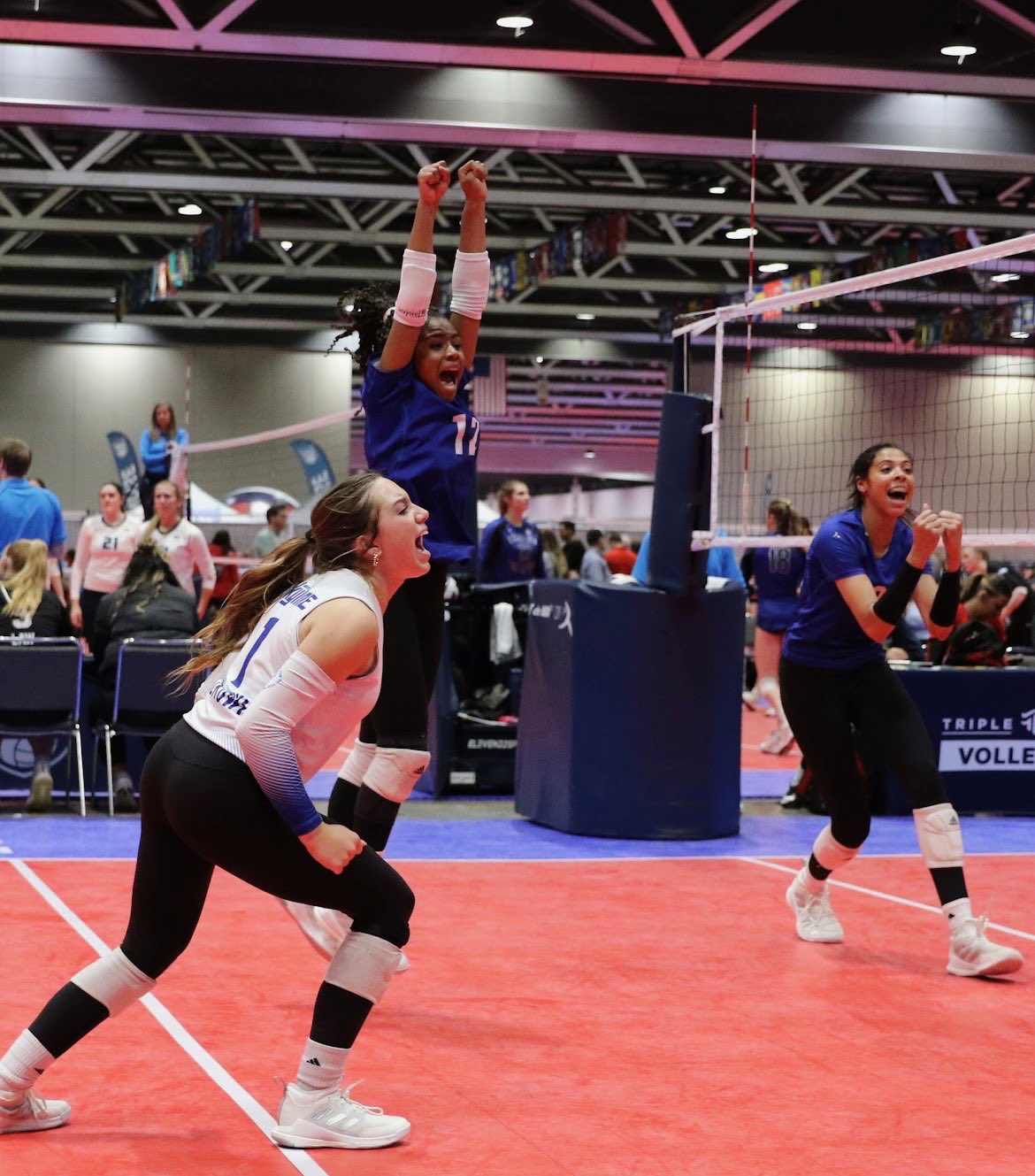 Houston Skyline (@HoustonSkyline) / Twitter