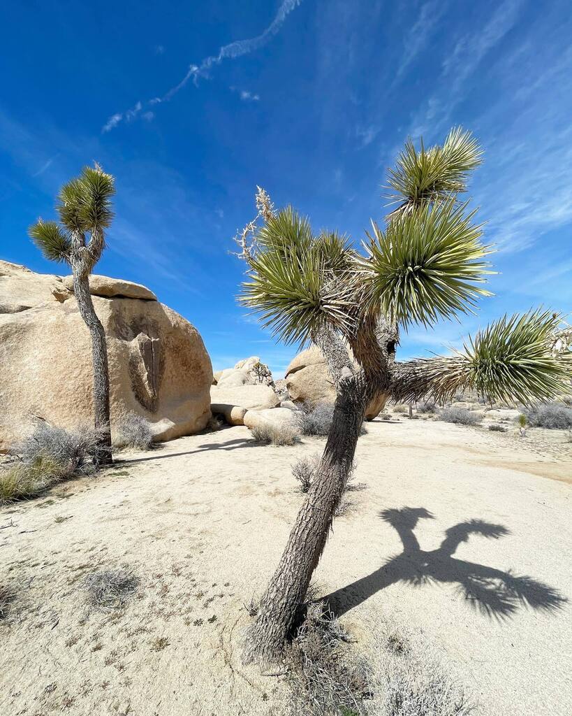 Aaron Schaap tweet media