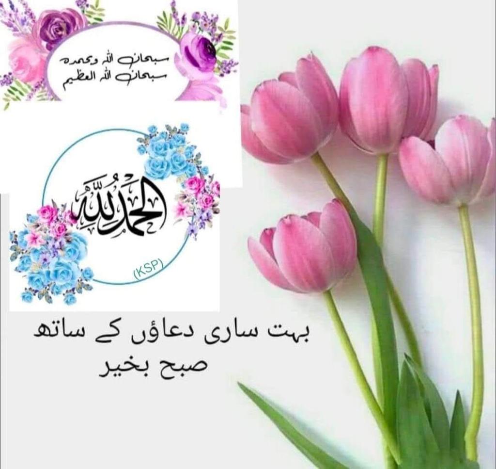Mohamma04818453's tweet photo. اسلام علیکم ورحمتہ اللہ وبرکاتہ 🌄 صبح بخیر 🇵🇰🙏 #خاتم_النبیین_محمدﷺّ 🌷 صلی اللہ علیہ وآلہ واصحابہ وسلم 🌸 صلی اللہ علیہ وآلہ واصحابہ وسلم 🌸 صلی اللہ علیہ وآلہ واصحابہ وسلم 🌸🌷🌸🌷🌸 #Team_Defender's https://t.co/k4zzqh1Wf9