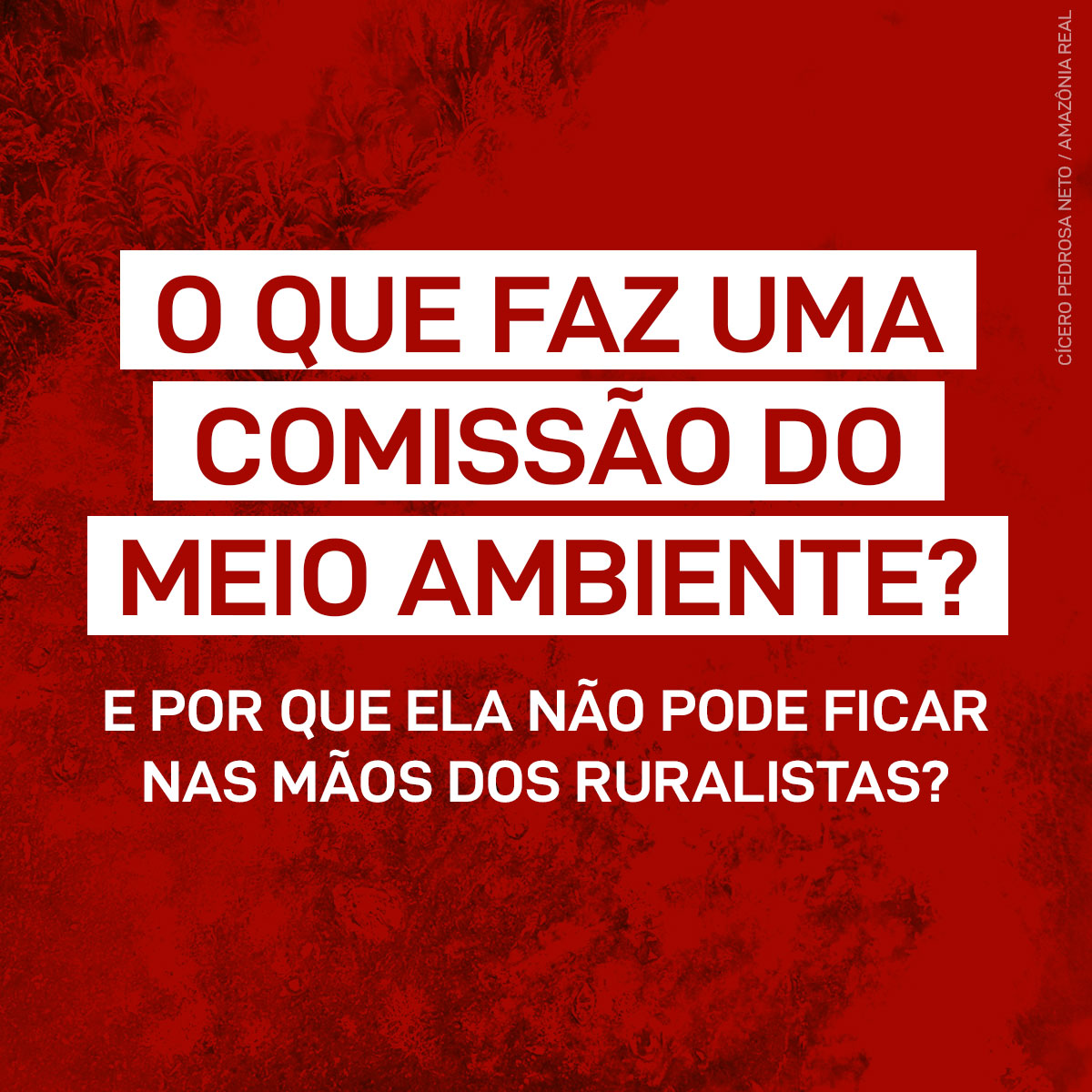 🤔 Já ouviu falar na Comissão de Meio Ambiente da Câmara dos Deputados? 

Pode ter passado despercebida enquanto rola o quarto branco do #BBB23. Mas nós estamos de olho no assalto ruralista que está rolando AGORA e explicamos no fio! 🧶

#AmbientalistaNaCMADS