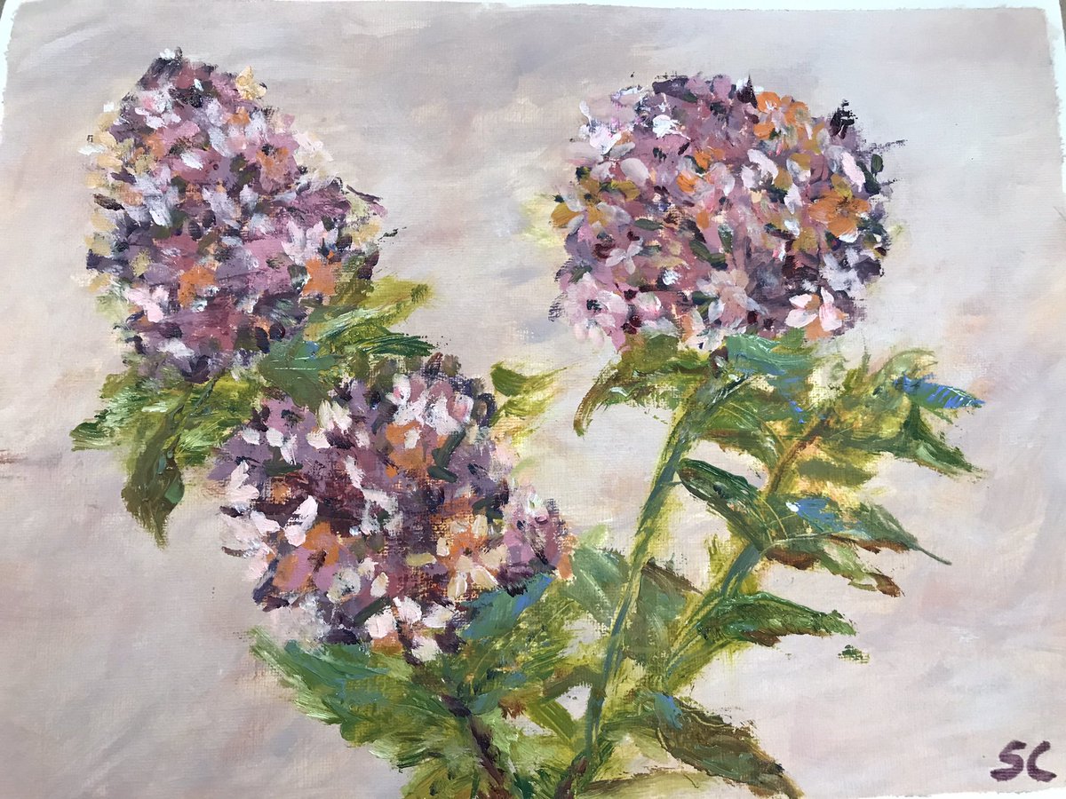 RuvvyMyLuvvy's tweet photo. It is I, Claude RuvvyMonet! Look at my flowers! Ooh la la! #artist #painting https://t.co/ZKWsBEcf6q
