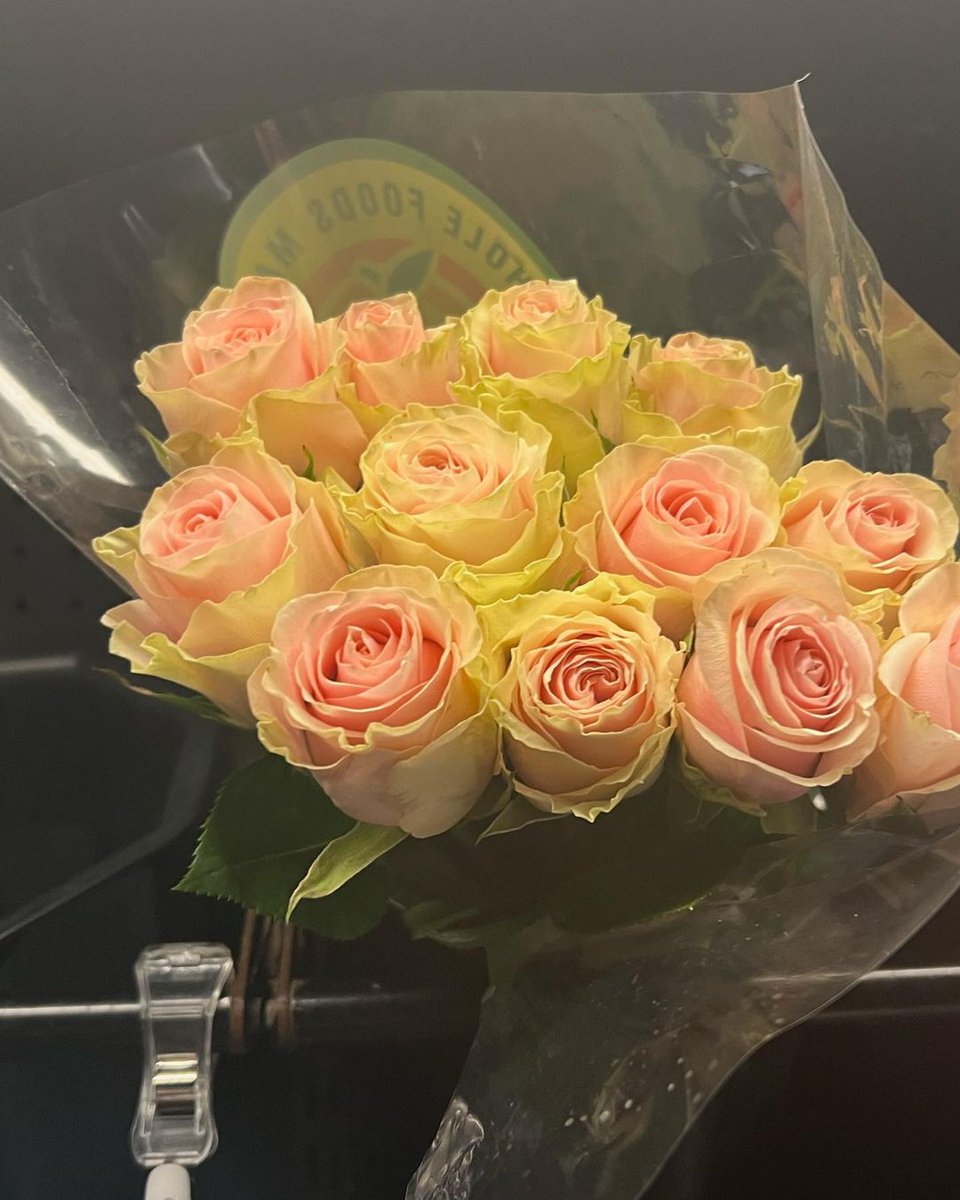 Anna Duboc tweet media