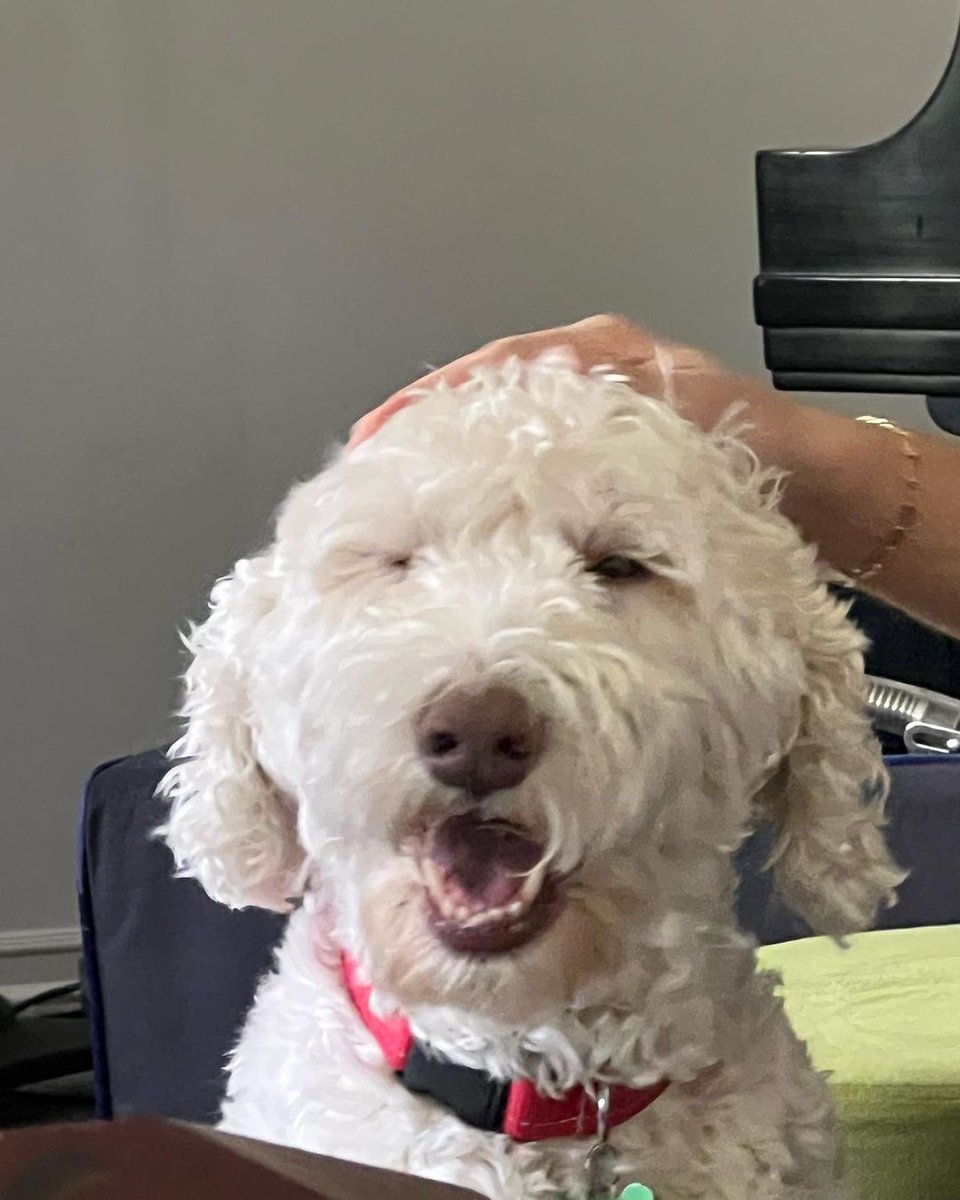 Anna Duboc tweet media