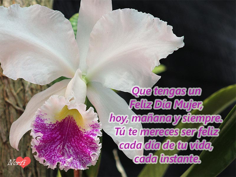 Decir mujer, es decir amor, patria, solidaridad y humanismo.
#MujeresEnRevolución #CubaPorLaVida <a href="/cubacooperaven/">Brigada Médica Cubana en Venezuela</a> <a href="/MINSAPCuba/">Ministerio de Salud Pública de Cuba</a>
<a href="/japortalmiranda/">José Angel Portal Miranda</a> <a href="/TaniaMCruzHdez/">Dra.Tania Margarita Cruz Hernández</a> <a href="/DcMedica/">Misión Médica Cubana en el Distrito Capital</a> <a href="/ErickMendezRod3/">ErickMendezRod</a>