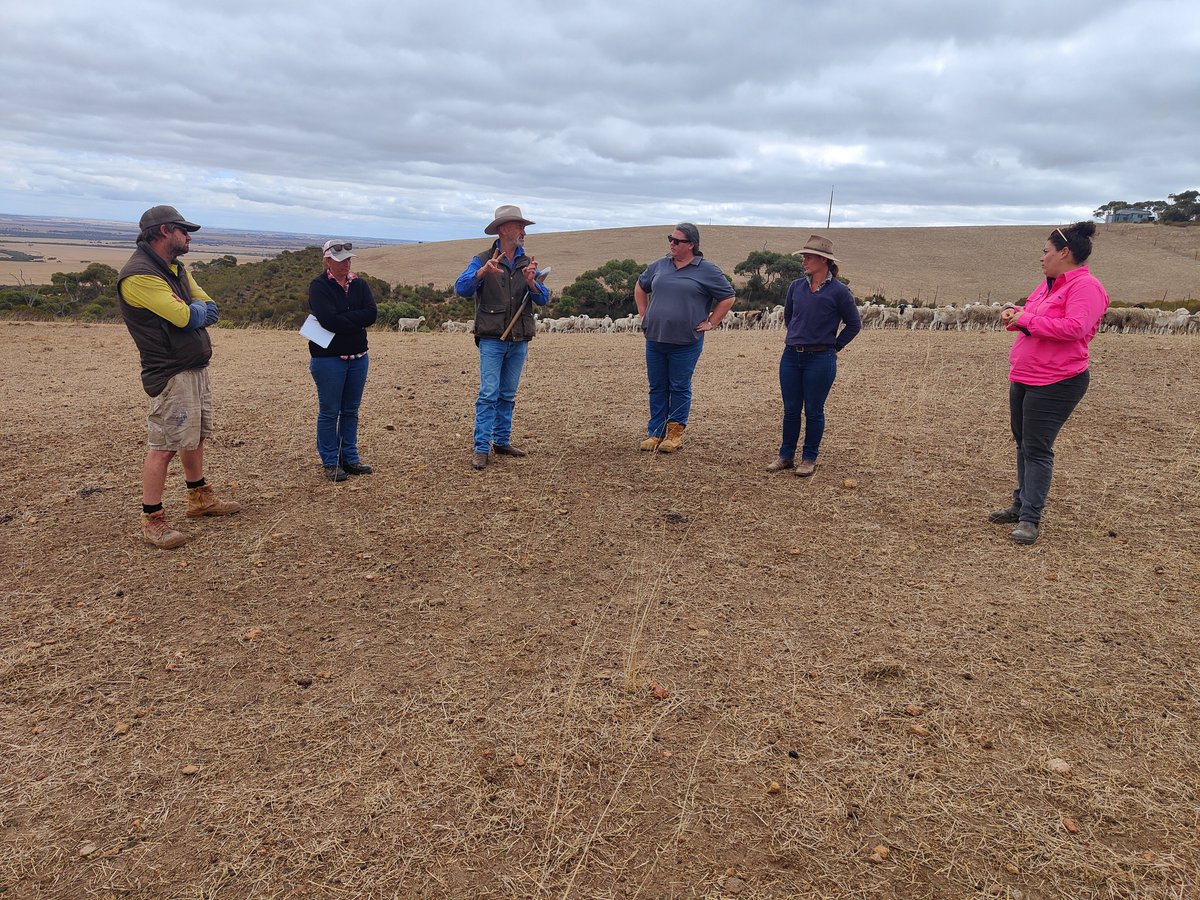 justinbammann's tweet image. A great day of learning with Dick Richardson #grazingnaturally .