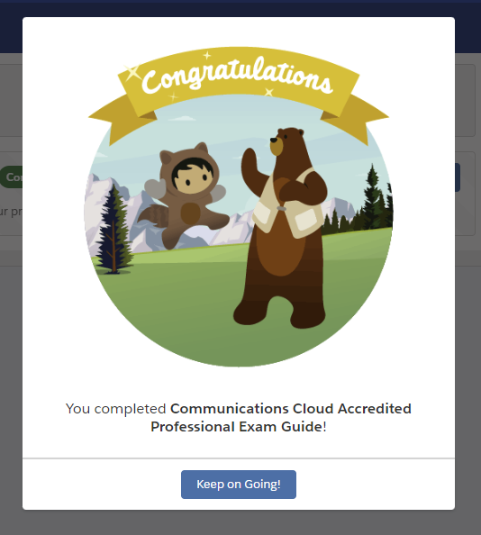DBohrisch's tweet photo. Thank you @salesforce for continuing to make the @partnerforce #PartnerLearningCamp more and more like @trailhead 💯 please keep continuing down this path, more than happy to help 🤓 https://t.co/Rosp7kzMpO