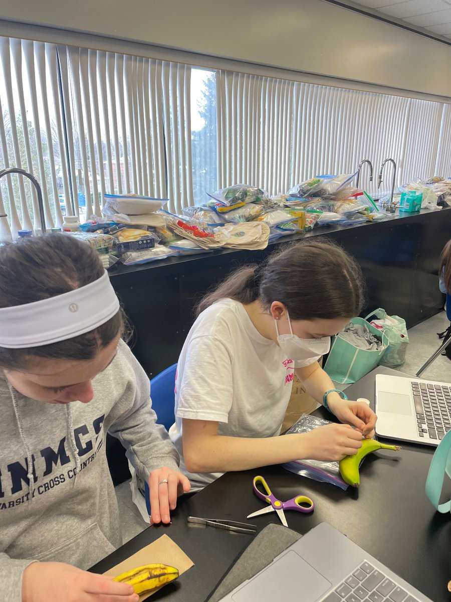 MsENicoletti's tweet photo. HOSA club medical science students learning suturing techniques! @HNMCS @MsENicoletti https://t.co/zjyFCrHCsS