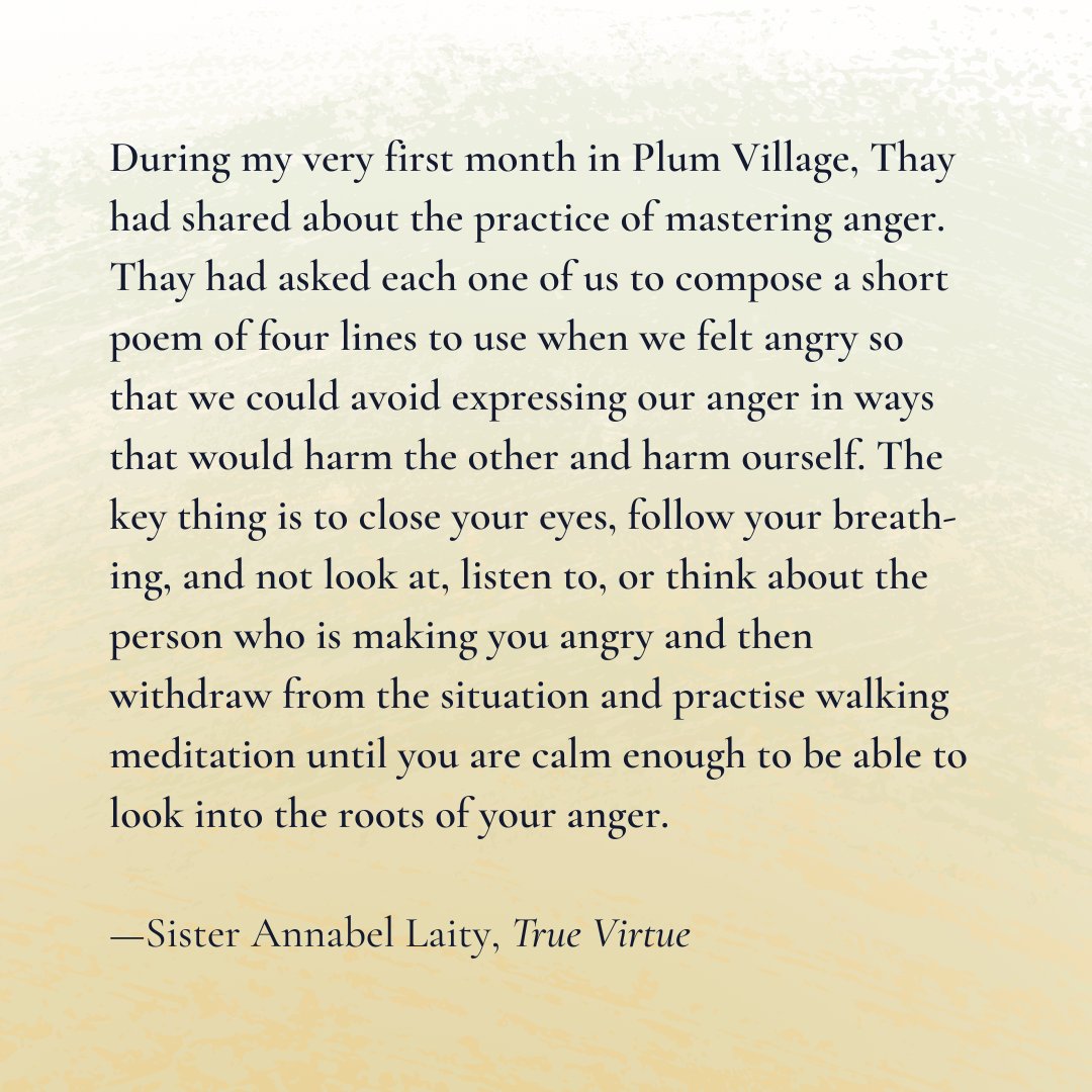 In 1988 Sister Annabel Laity became the first Western person to be ordained as a monastic disciple in Thích Nhất Hạnh’s Vietnamese Zen lineage. Her Dharma name means True Virtue. You may read her story in her autobiography: parallax.org/product/true-v…

#InternationalWomensDay2023