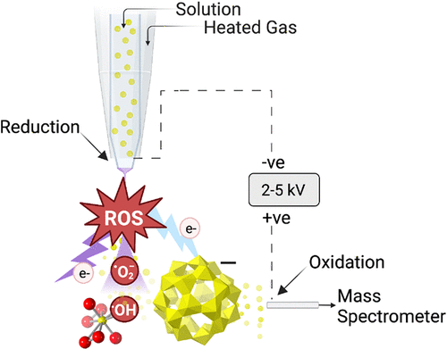 bhkenlo's tweet photo. Electrochemistry of Uranyl Peroxide Solutions during Electrospray Ionization https://t.co/0s33LsqznJ Burns and co-workers @InorgChem #uranium #uranyl #peroxide #ESI #MS_CID_MS #anionic https://t.co/xSCiLafhcM