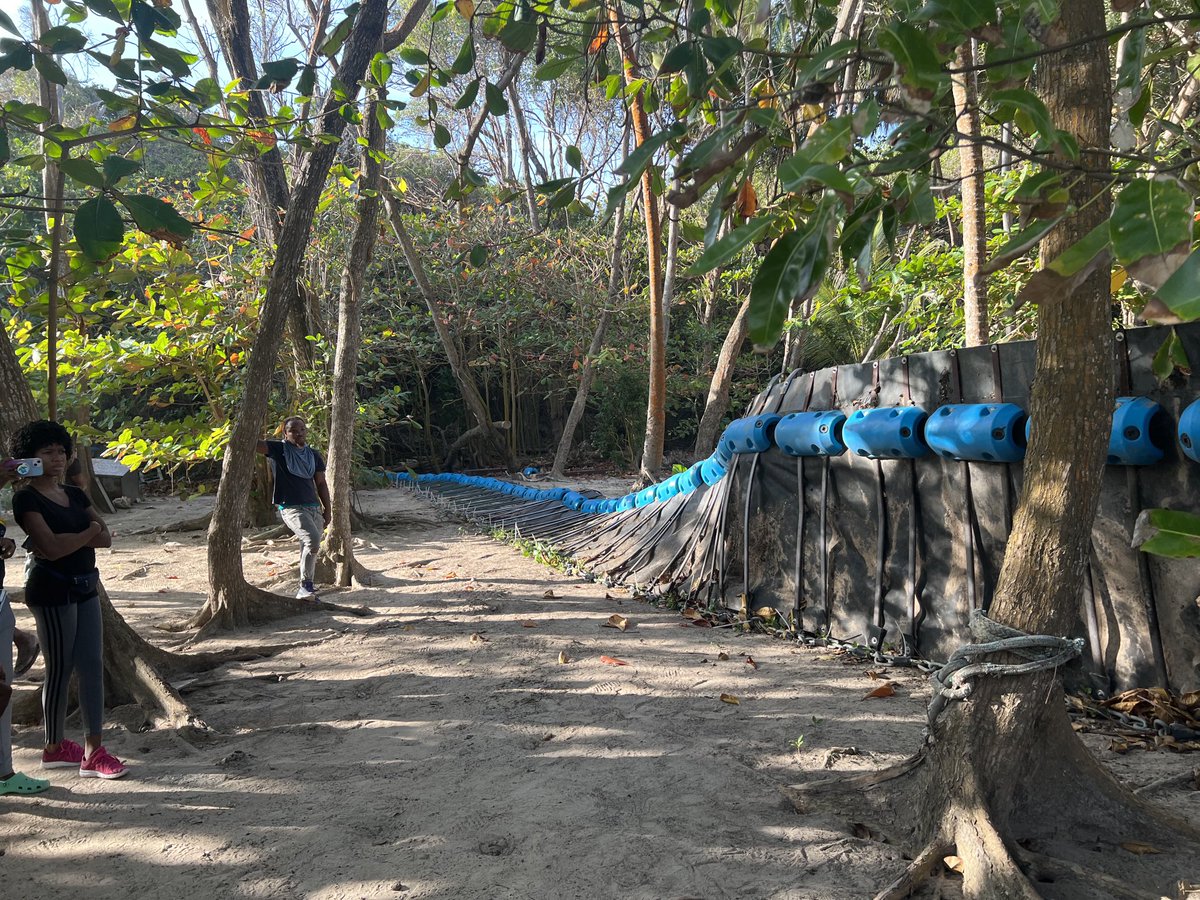The boom being readied for deployment at Crane Beach, south Barbados, to limit sargassum beaching at this historic beach resort over coming days-weeks ⁦<a href="/SARTRAC1/">SARTRAC</a>⁩