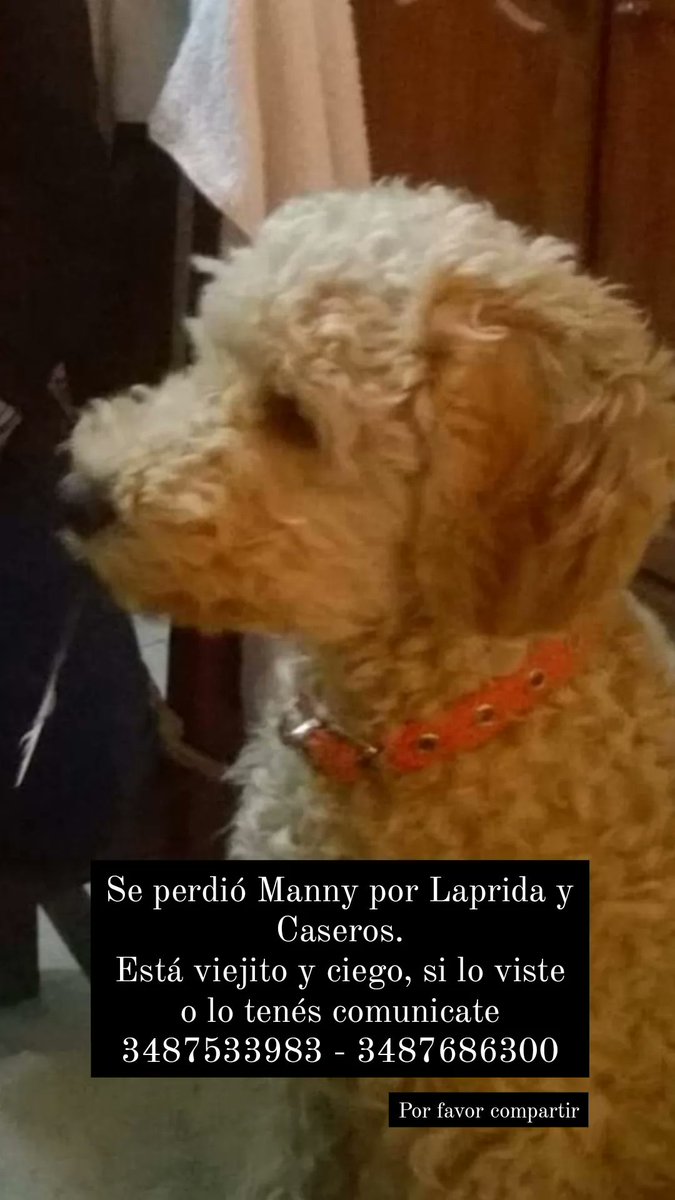 Se escapó hoy de casa.
Zárate !!