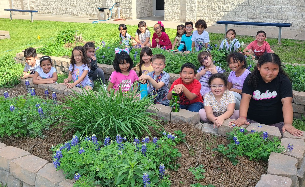 Ms_VillamizarBL's tweet image. Spring is in the air! #bluebonnets #classpicture #FirstGradeTeacher #bilingual #SpringBreak #spring #primavera #MRobPRIDE @MRobinsonElem @readygrowgarden