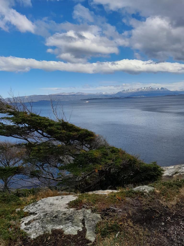 juancruzverdu's tweet photo. Mi abuela (84)  la viajera, cuando se fue a mochilear a europa en el 2021 conoció un inglés de 30 aprox que ahora la invitó junto a su novia a ushuaia con pasajes y estadía paga y me manda estas fotos.
Bonus track: aprendió a sacar selfies https://t.co/ZDhCSWscUj