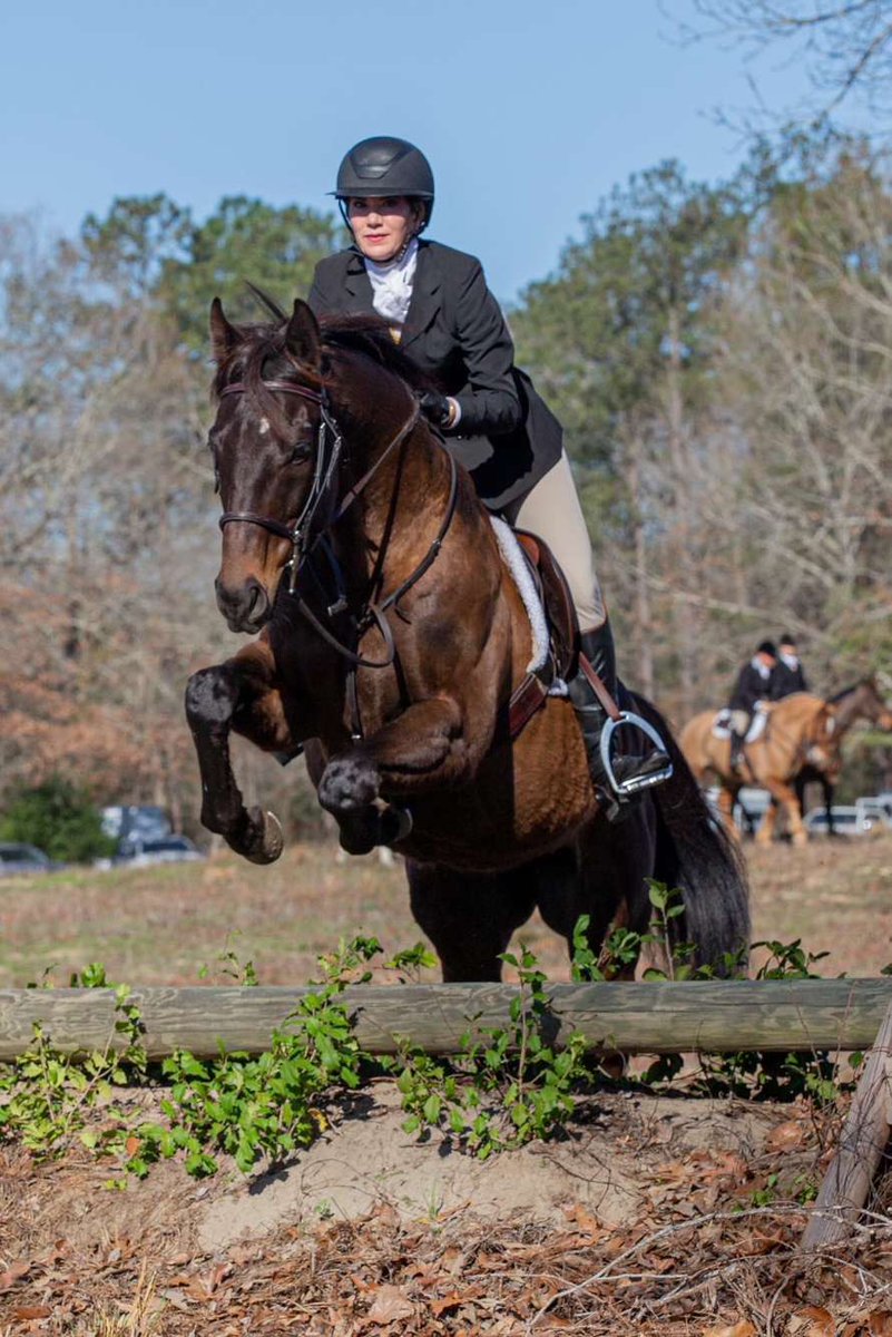 AshwellStable's tweet photo. HONOR UP (NY) out hunting with the Wateree in Camden, SC 🦊 
Stayed in South Carolina after Charleston in November, and his enjoying his retirement ☝🏻@JohnRothell1 @LeslieYoung1 #steeplechs #nsa #usasteeplechase #gojumpracing #ashwellgrad #nybred https://t.co/A8QNCa5kTV
