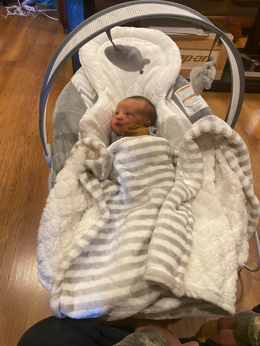 Cathy Chauvin 🇨🇦 on Twitter "Another wonderful addition to our family