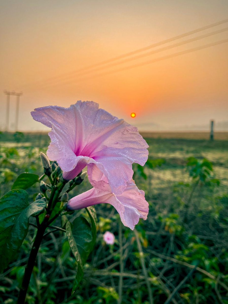 KhanjayBoro's tweet photo. সুপ্ৰভাত।। https://t.co/eSXiiVPAaE