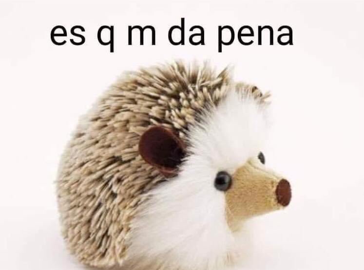 alfredosastree's tweet photo. nadie:

yo por todo: https://t.co/BmG48XbCs9