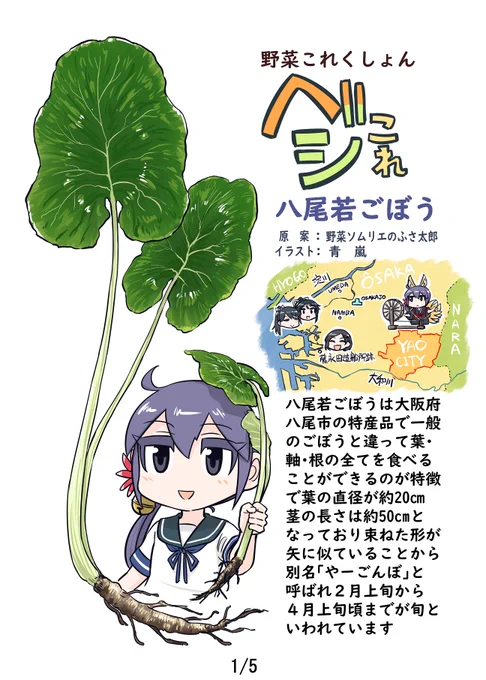 野菜これくしょん ベジこれ 第35弾 八尾若ごぼう編1/2
今回も野菜ソムリエのふさ太郎さん@yukimifusaとの合作でお送りします 