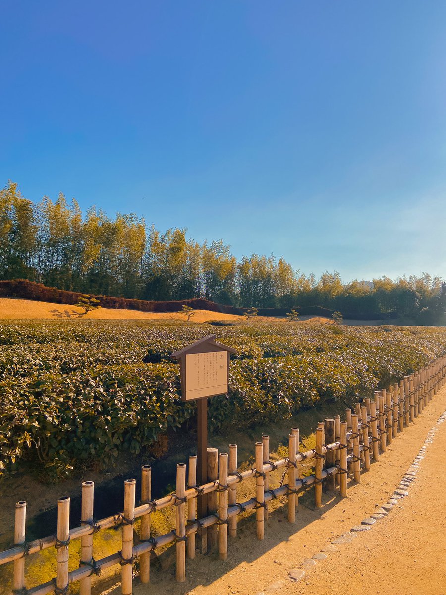 bymirasoul's tweet image. — some sceneries taken while i was in japan ⛅️🍃🤎