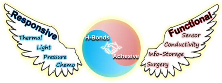 Supramol_Mater's tweet image. The design and creation of H-bonded adhesives, responsive attaching/detaching and applications in advanced supramolecular materials.
@ZhaoChai1 @KeAiPublishing
 #material #supramolecule #adhensive
doi.org/10.1016/j.supm…