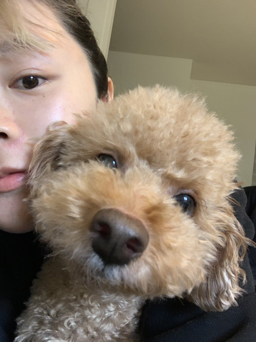 39_ruka's tweet photo. 休館日やったし売り場から無くなっちょったしちょっと残念な午前中。⊃  ̫  ;

だから今日はマクドっ
理由つけて食べちゃう。
けど最近もう9ヶ月になってから胃が圧迫されて夜もお腹空かんくて食べんかったりサラダならーやったりでいいかなっておもてる。。
明日健診だけども。体重測定あるけども https://t.co/yWX8OSWvSO