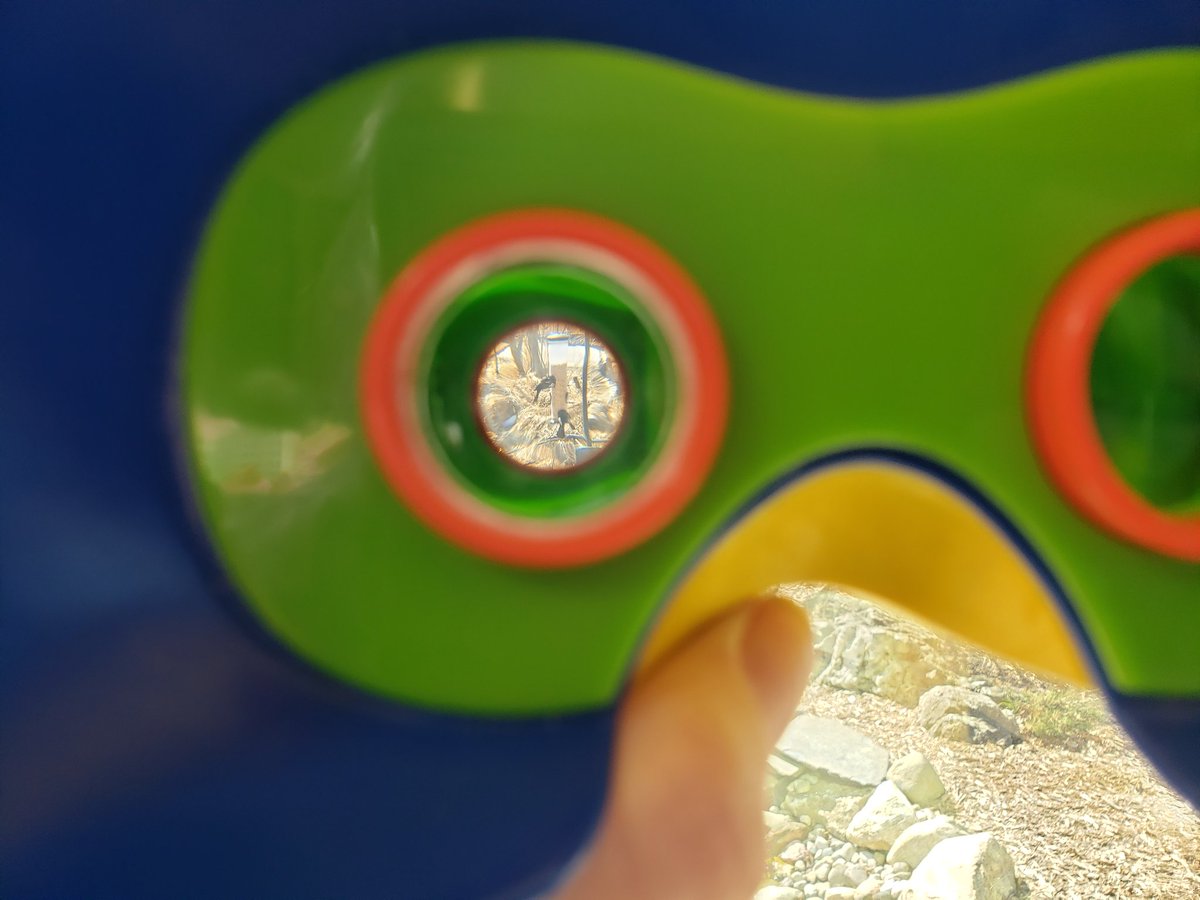 Took this photo looking through some binoculars but it almost looks like behind the eyes of a furby.