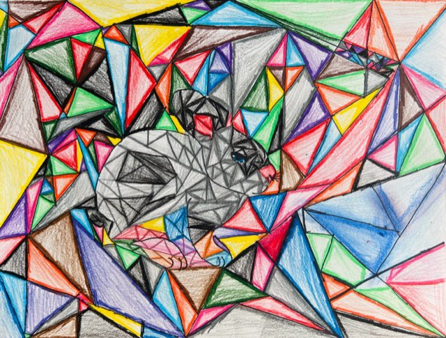 Cubism unit pieces inspired by Pablo Picasso and Franz Marc! Our kids are so creative! 🤩 #7thgradeart #nmsapride #nccusd