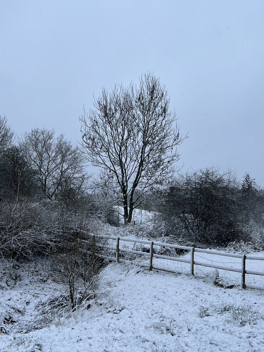 sarahltaffe's tweet photo. I can’t help it, I’m sorry!!!

❄️ IT’S SNOWING!!! ❄️

#Derbyshire #SnowingInDerbyshire #SnowAnnouncement https://t.co/6DfsyY3GQK