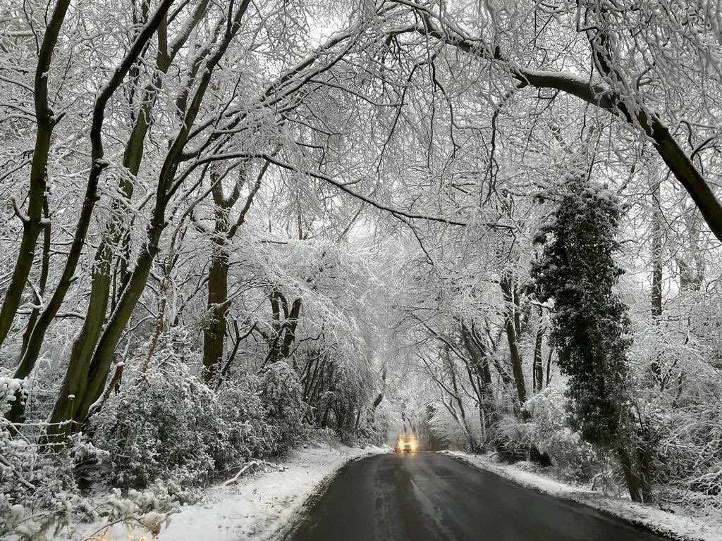Narnia looking Wendover Woods, in the Chilterns ✨❄️ via @DukesyWeather
