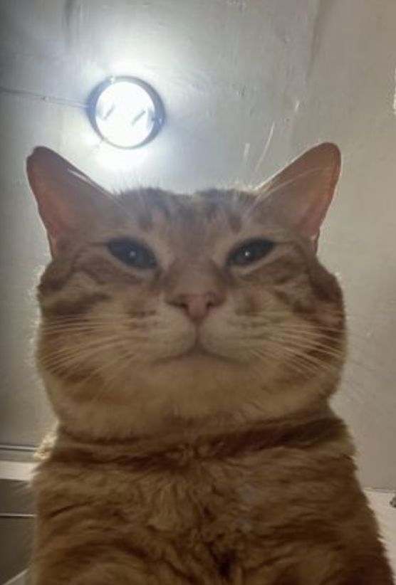 when_whatever tweet picture